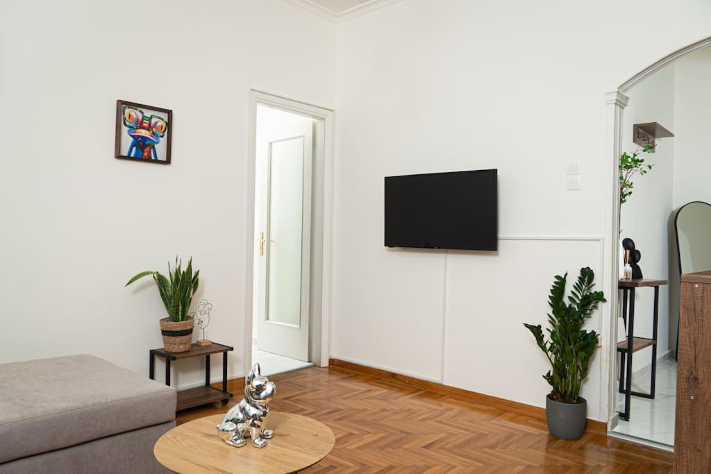 Center Cozy Apartment